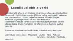 NIIDUD #12