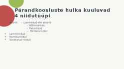NIIDUD #13