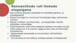 NIIDUD #14