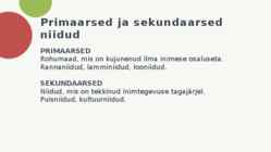 NIIDUD #3
