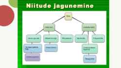 NIIDUD #5