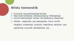 NIIDUD #6