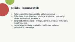 NIIDUD #8