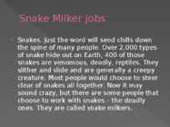 Snake Milker Jobs #2