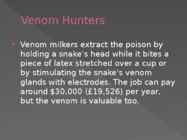 Snake Milker Jobs #6