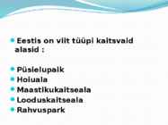 Kuidas on võimalik liike kaitsta #13