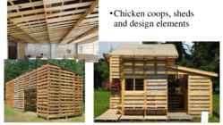 Wooden Pallets #11