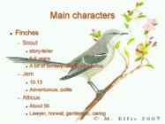 Harper Lee - To Kill a Mockingbird Summary in English #3