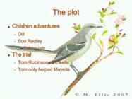 Harper Lee - To Kill a Mockingbird Summary in English #5