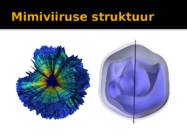 3D PILDID VIIRUSEST #6