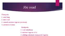 Eesti jõed #9