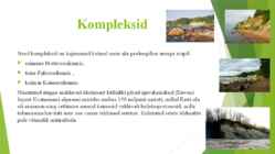 Eesti geoloogiline ehitus #6