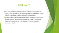 Eesti geoloogiline ehitus #8