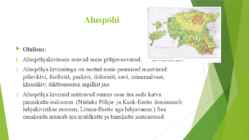 Eesti geoloogiline ehitus #9
