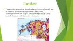 Eesti geoloogiline ehitus #10