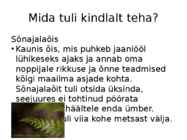 Jaanipäev #6