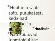 Taimed #4