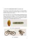 Disain-mootorrattad Eestist - Renard Motorcycles #4