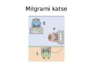 Mõjustamine #4