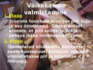 Parmupill ja rahvakannel #5