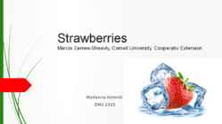 Strawberries