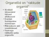 Rakuorganellid #2