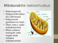 Rakuorganellid #7