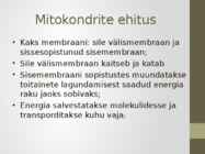Rakuorganellid #8