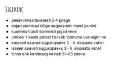 Saarmas #5