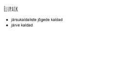 Saarmas #7
