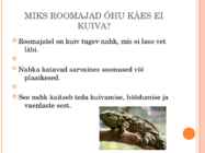Roomajad #3