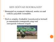 Roomajad #7