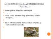 Roomajad #9