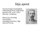 I maailmsõda põhjused ja ajend #4