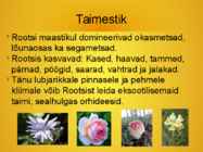 Rootsi #6