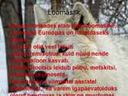 Rootsi #7