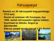 Rootsi #8