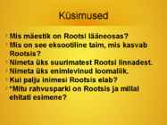Rootsi #10