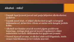 Riskikäitumine #15