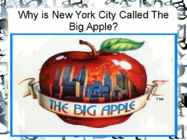 New York City #4