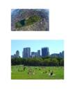Central park #2