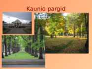 Pärnu linn #11