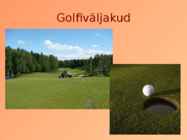 Pärnu linn #12