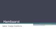 Hambaarst