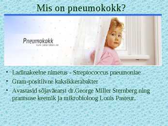 Pneumokokk #2