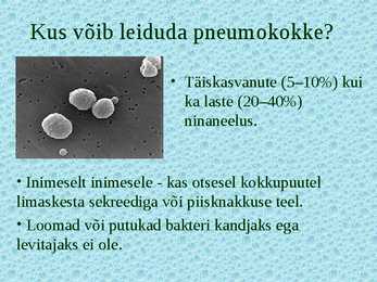 Pneumokokk #3