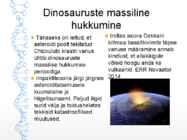 Dinosauruste-sh lindude evolutsioon #13