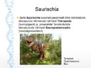 Dinosauruste-sh lindude evolutsioon #5