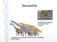 Dinosauruste-sh lindude evolutsioon #6