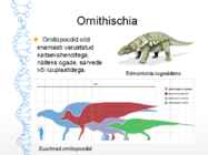 Dinosauruste-sh lindude evolutsioon #8